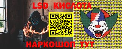 прущие грибы Нарткала