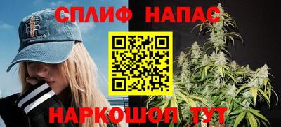 mdpv Новодвинск