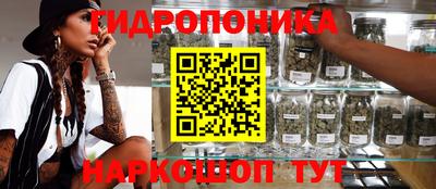 крисы Новозыбков